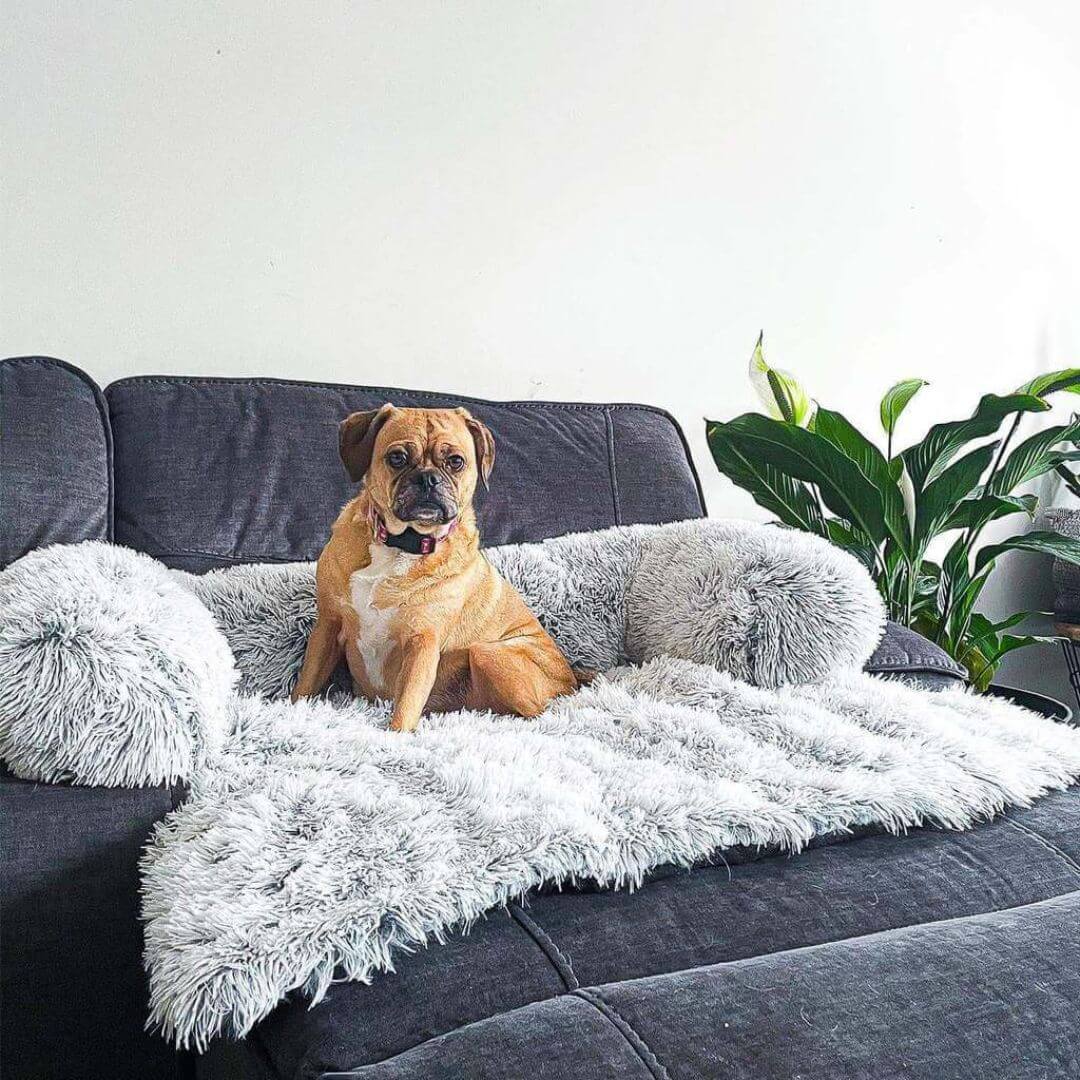 Copertura Divano Cane Antiscivolo Lavabile