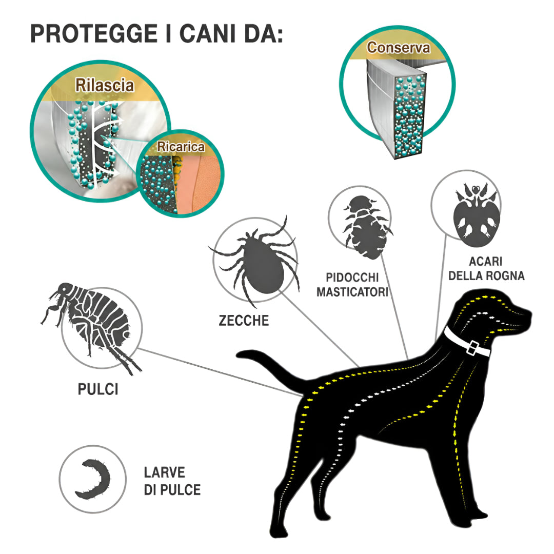 Collare Antipulci Cani Gatti Protezione Parassiti Durata Prolungata
