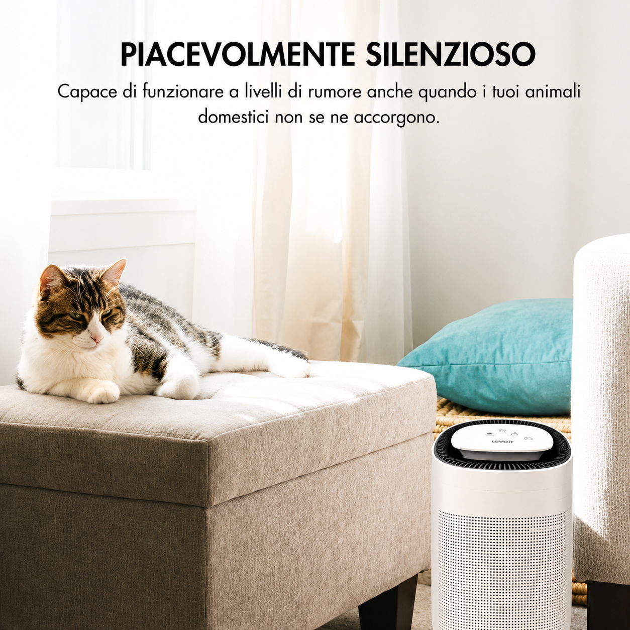 Deumidificatore portatile per raffreddamento aria domestica