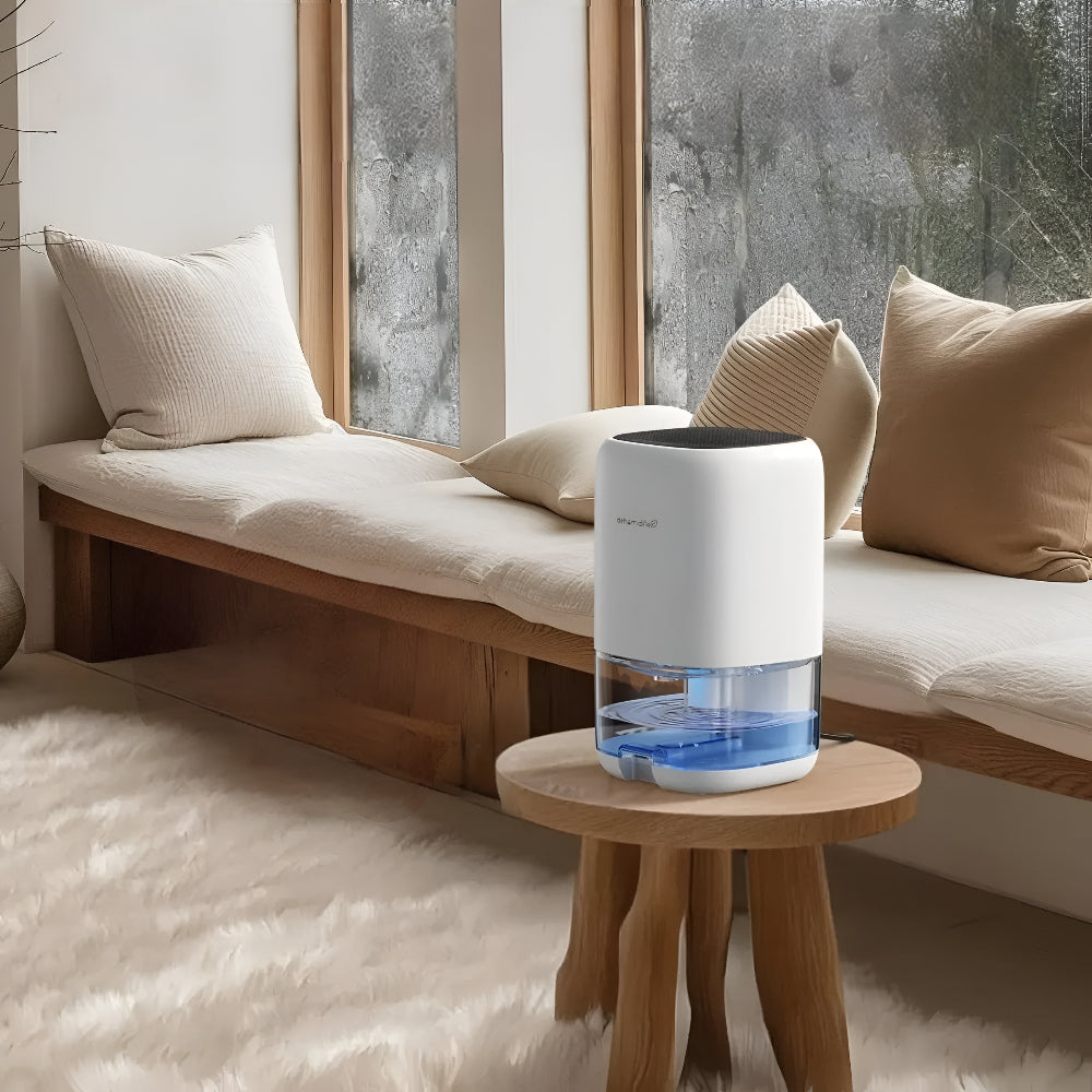 Deumidificatore silenzioso compatto per camera, bagno e camper