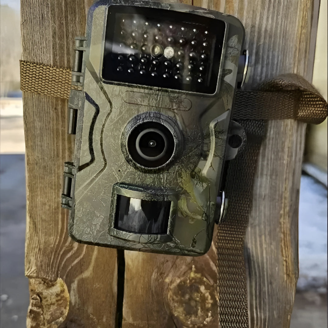 Fotocamera Notturna per Sorveglianza Animale