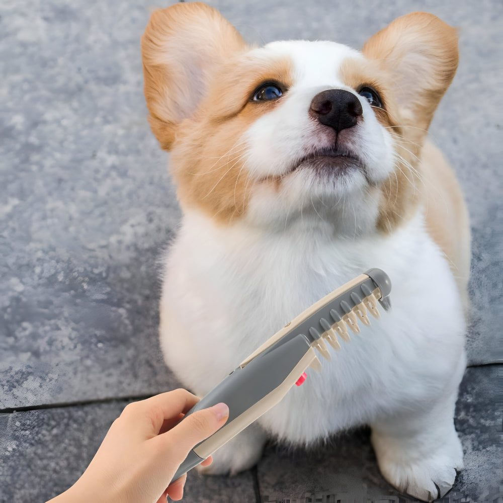 Dog Brush Detangling Grooming Comb Pets