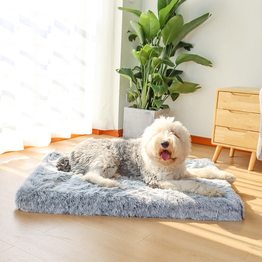 Cuscino Cane Ortopedico Antiscivolo Sfoderabile