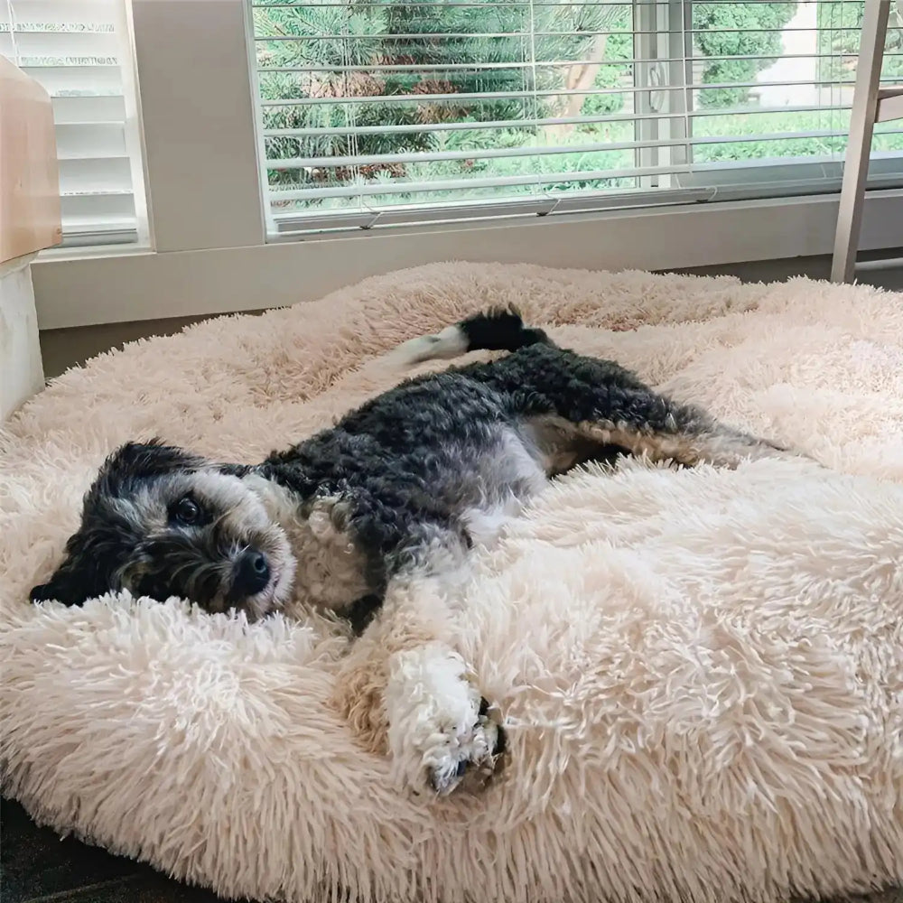 Dog Bed Round Donut Cushion Plush Calming