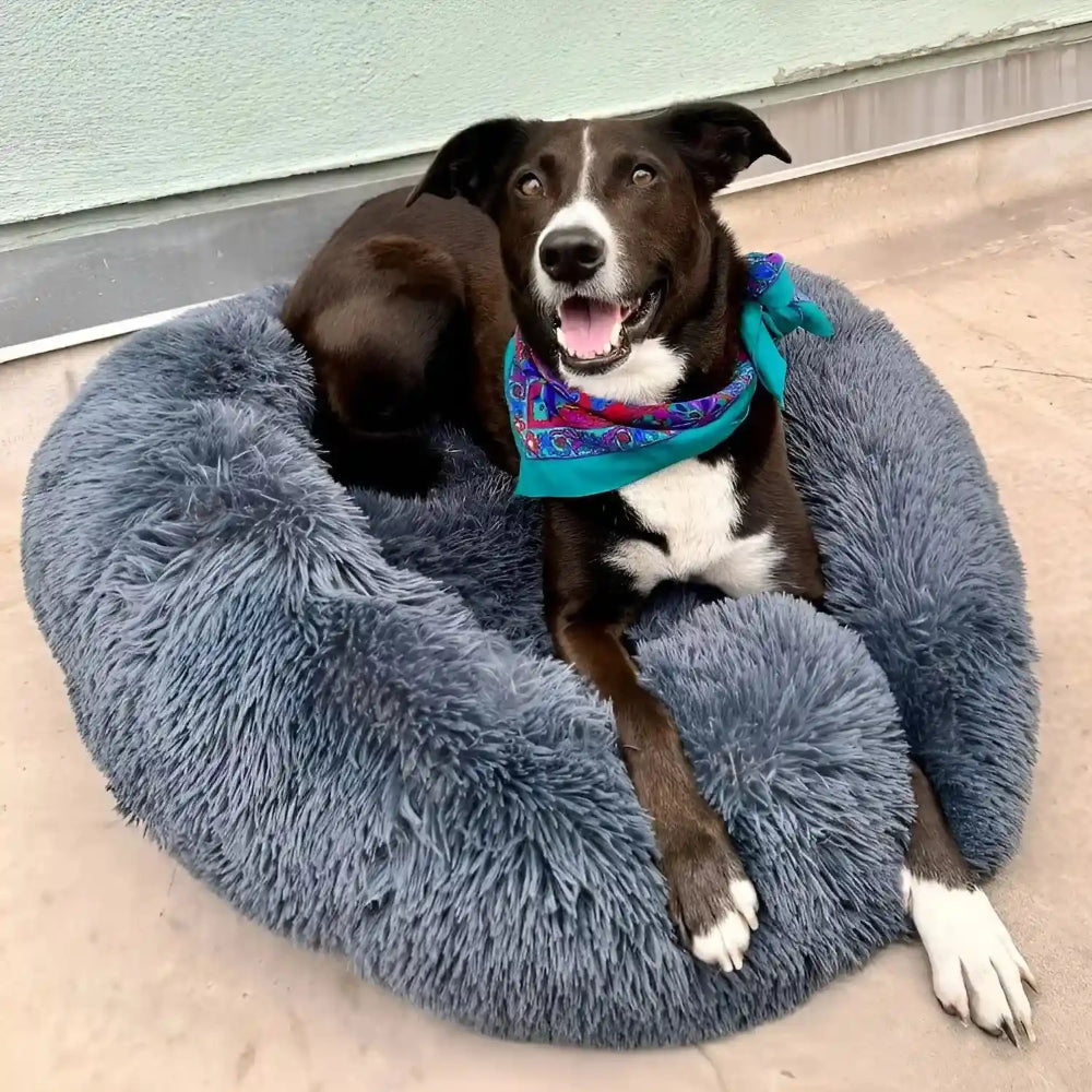 Dog Bed Round Donut Cushion Plush Calming