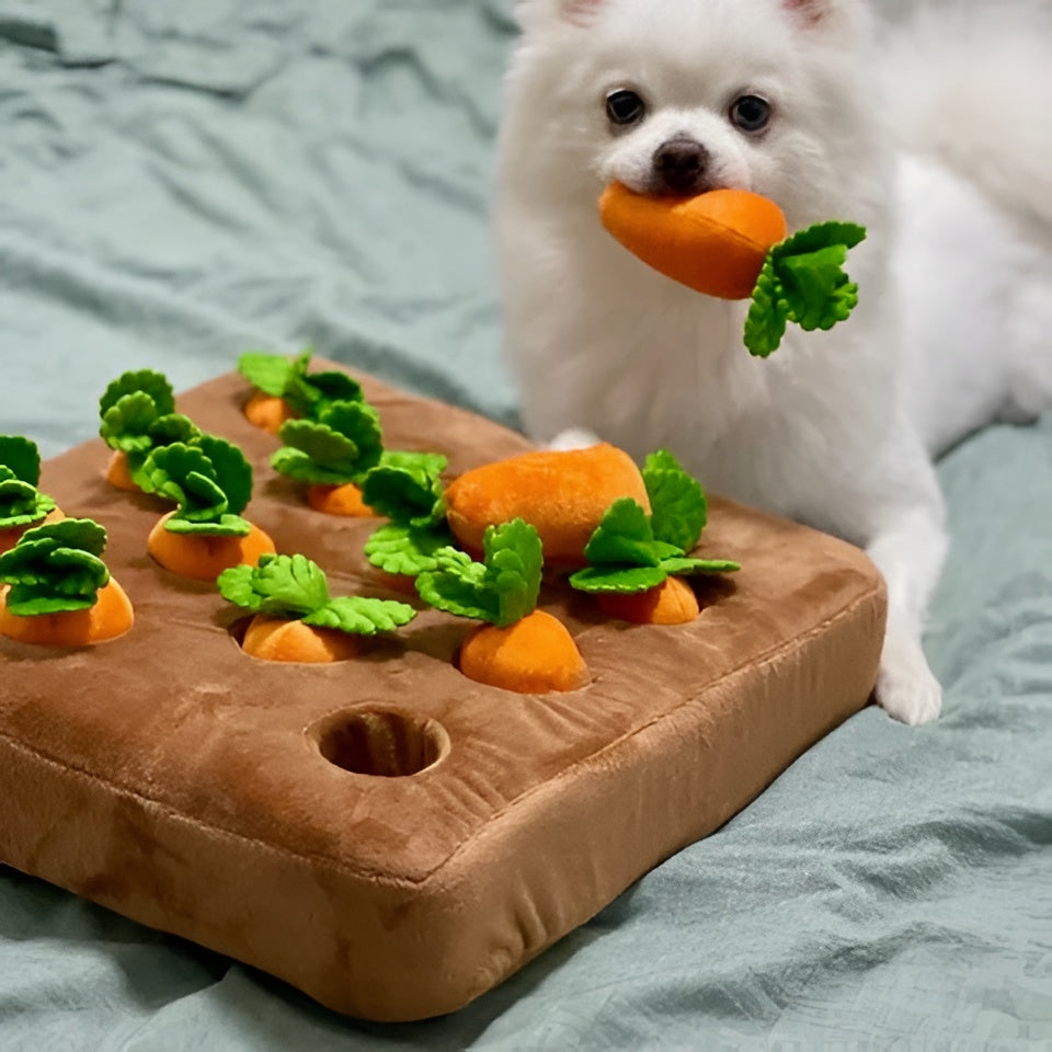 Gioco Per Cani Interattivo Tappeto Olfattivo Carote