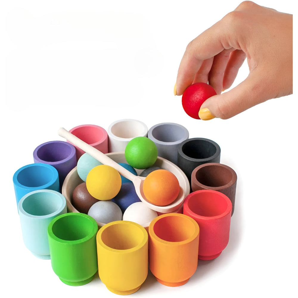 Gioco Bambini Abbinamento Colori Attività Motricità Gioco Educativo