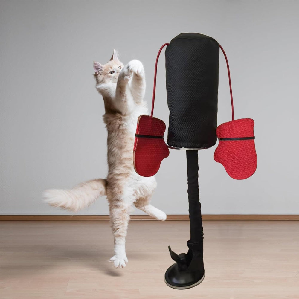 Giochi Gatti Interattivo Sacco Boxe Ventosa Base Elastica