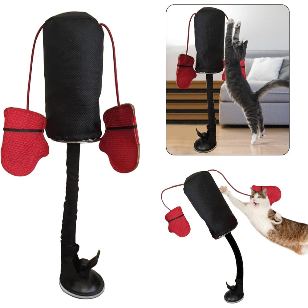 Giochi Gatti Interattivo Sacco Boxe Ventosa Base Elastica
