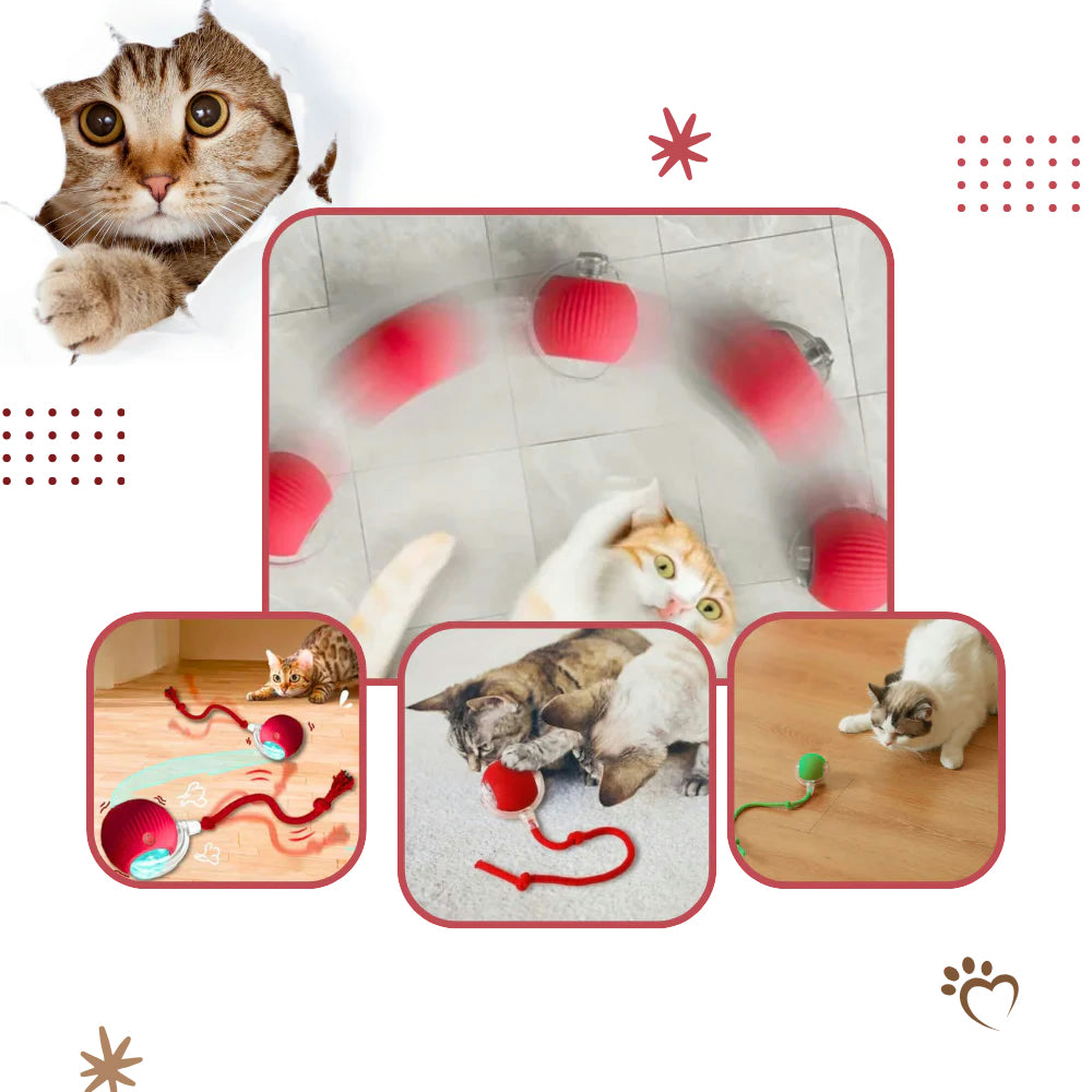 Interactive Cat Toy Automatic Moving Cat Ball