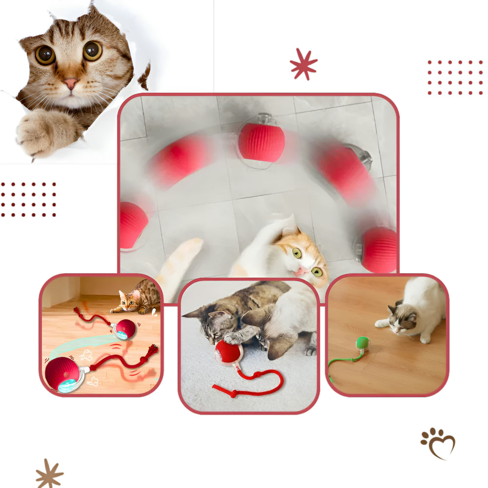 Interactive Cat Toy Automatic Moving Cat Ball