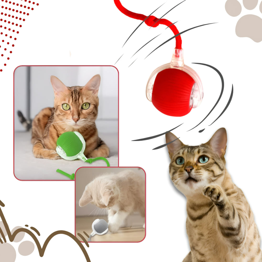 Interactive Cat Toy Automatic Moving Cat Ball