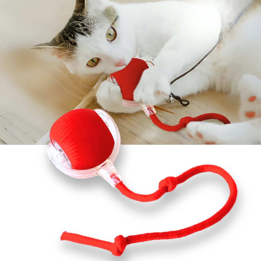 Interactive Cat Toy Automatic Moving Cat Ball