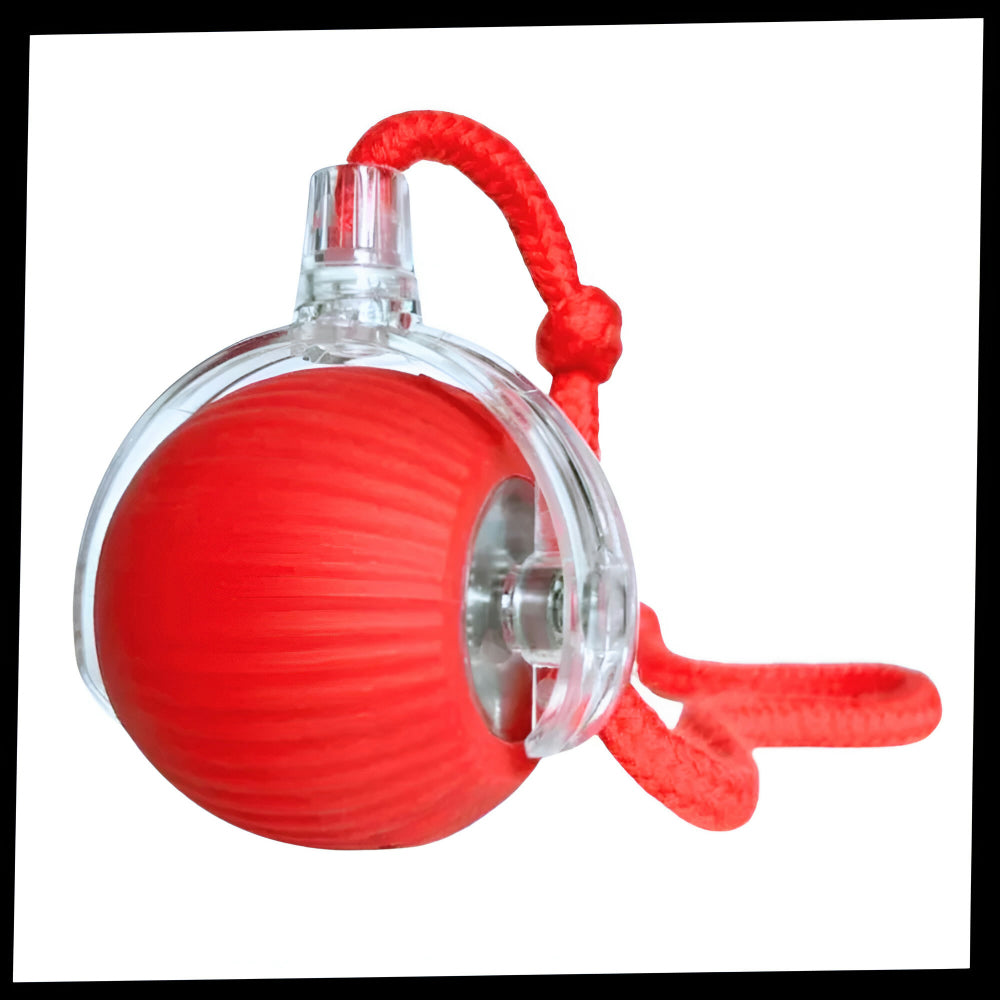 Interactive Cat Toy Automatic Moving Cat Ball