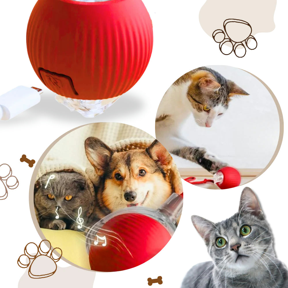 Interactive Cat Toy Automatic Moving Cat Ball