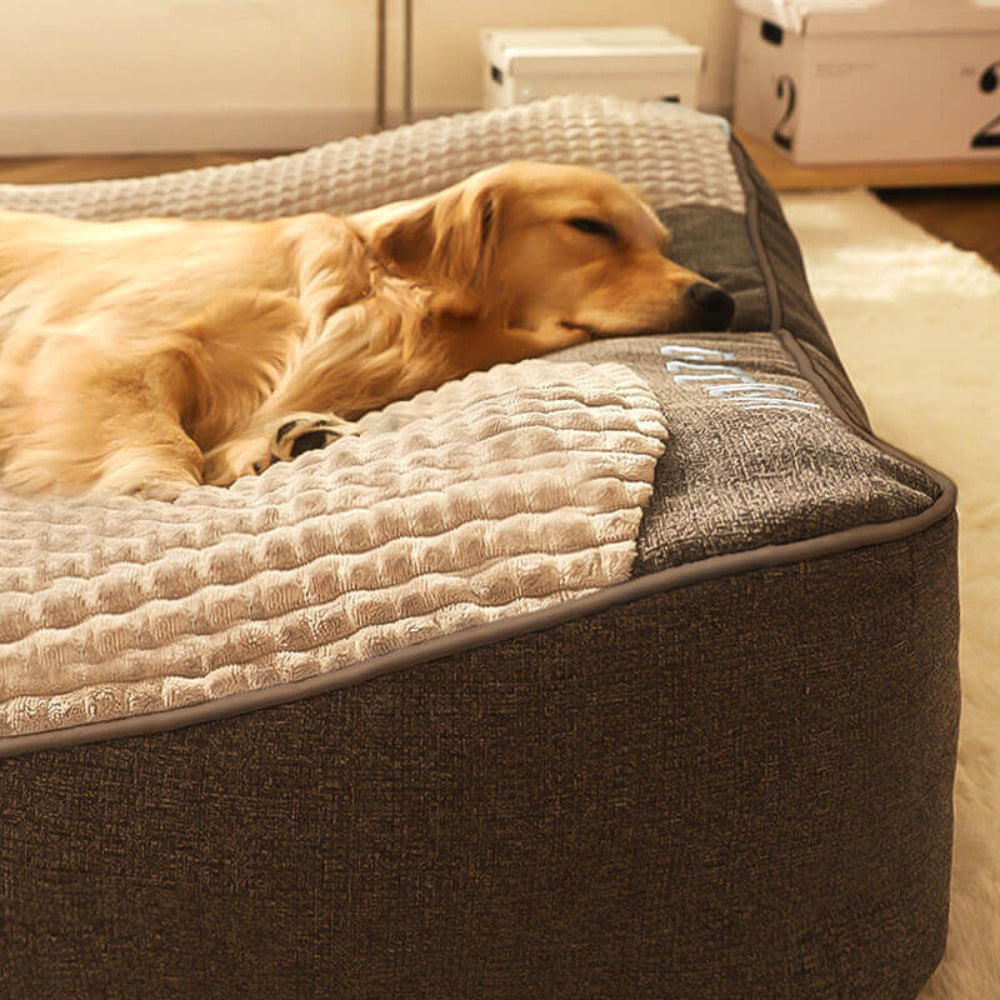 Large Orthopedic Dog Bed Thick Cushion Neck Support Scratch-Resistant 4