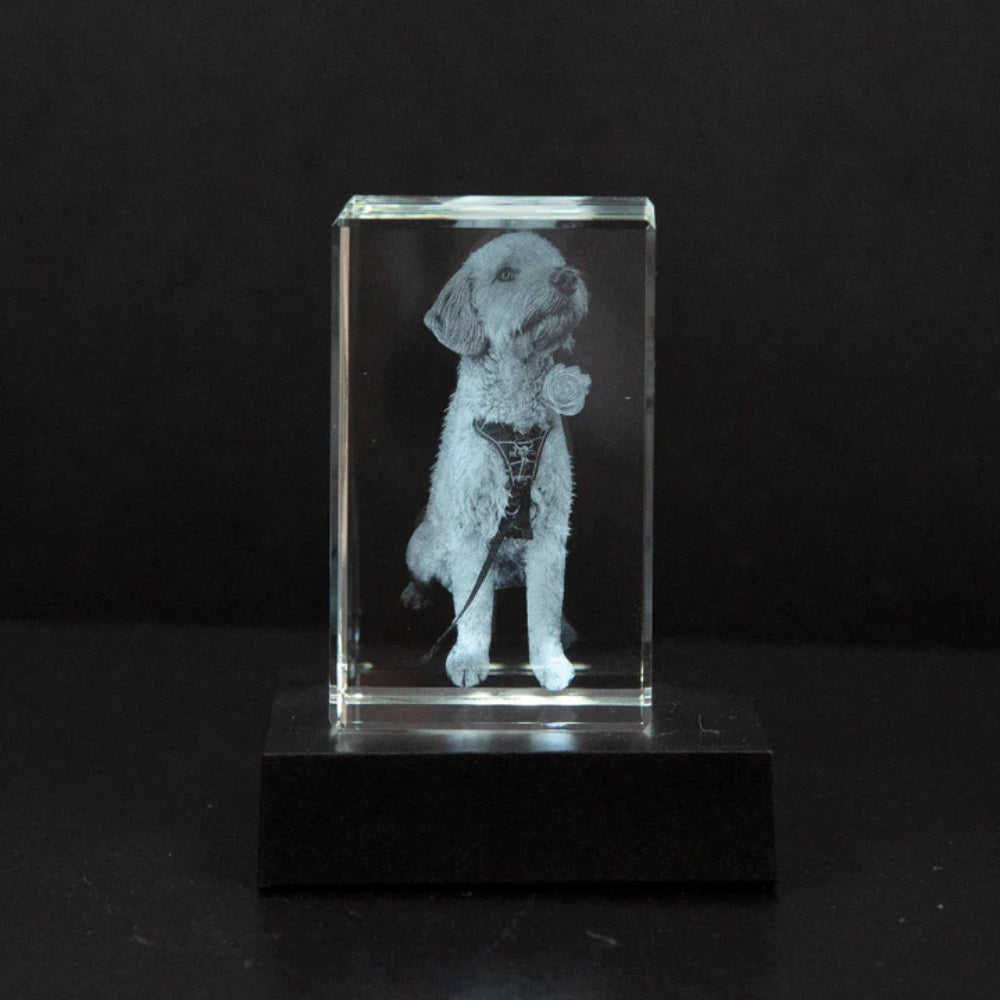 Mother's Day Gift 3D Crystal Photo Frame Personalized Memory