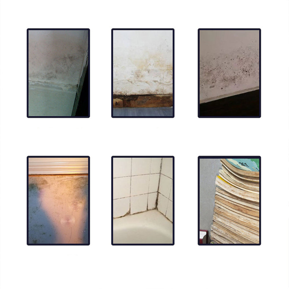 Mold Stain Remover Foam Spray for Fast Mildew Cleaning 2