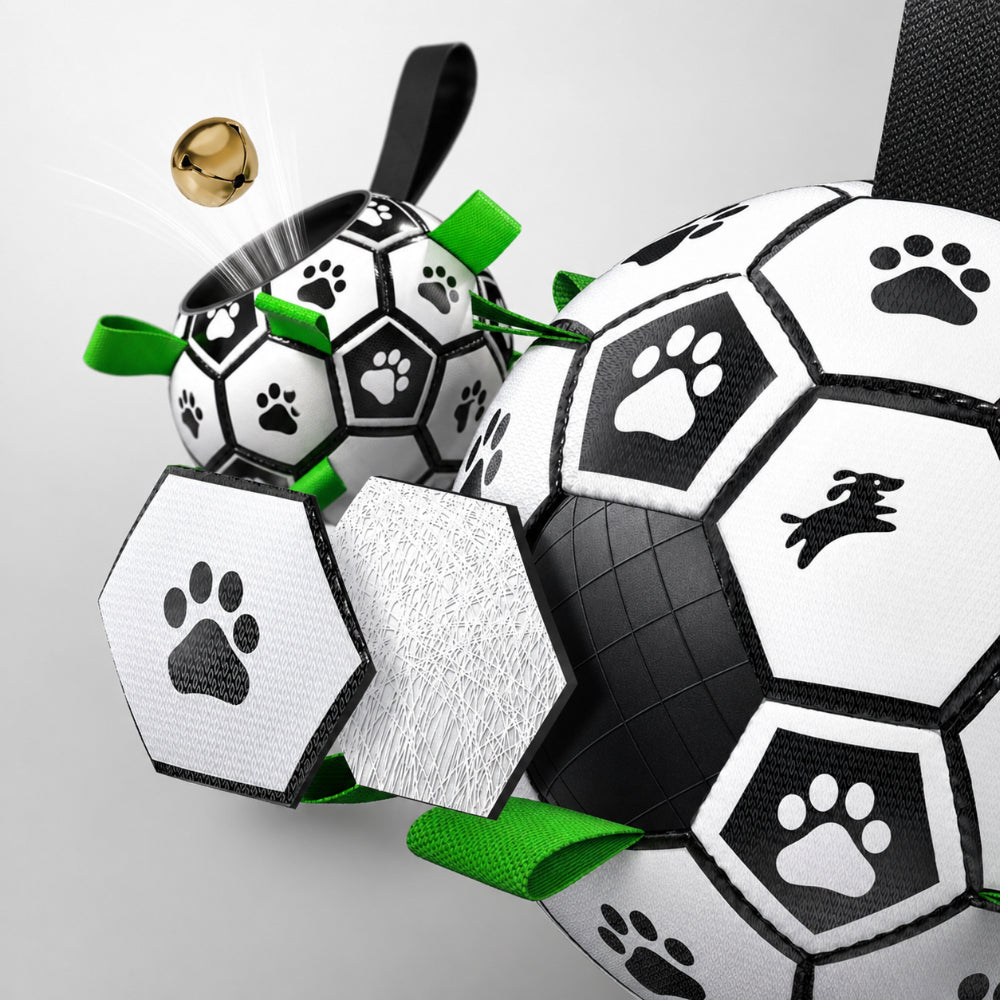 Interactive World Cup Dog Ball Training and Fetch Activity