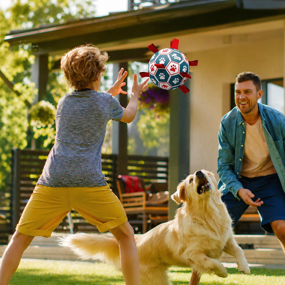 Interactive World Cup Dog Ball Training and Fetch Activity