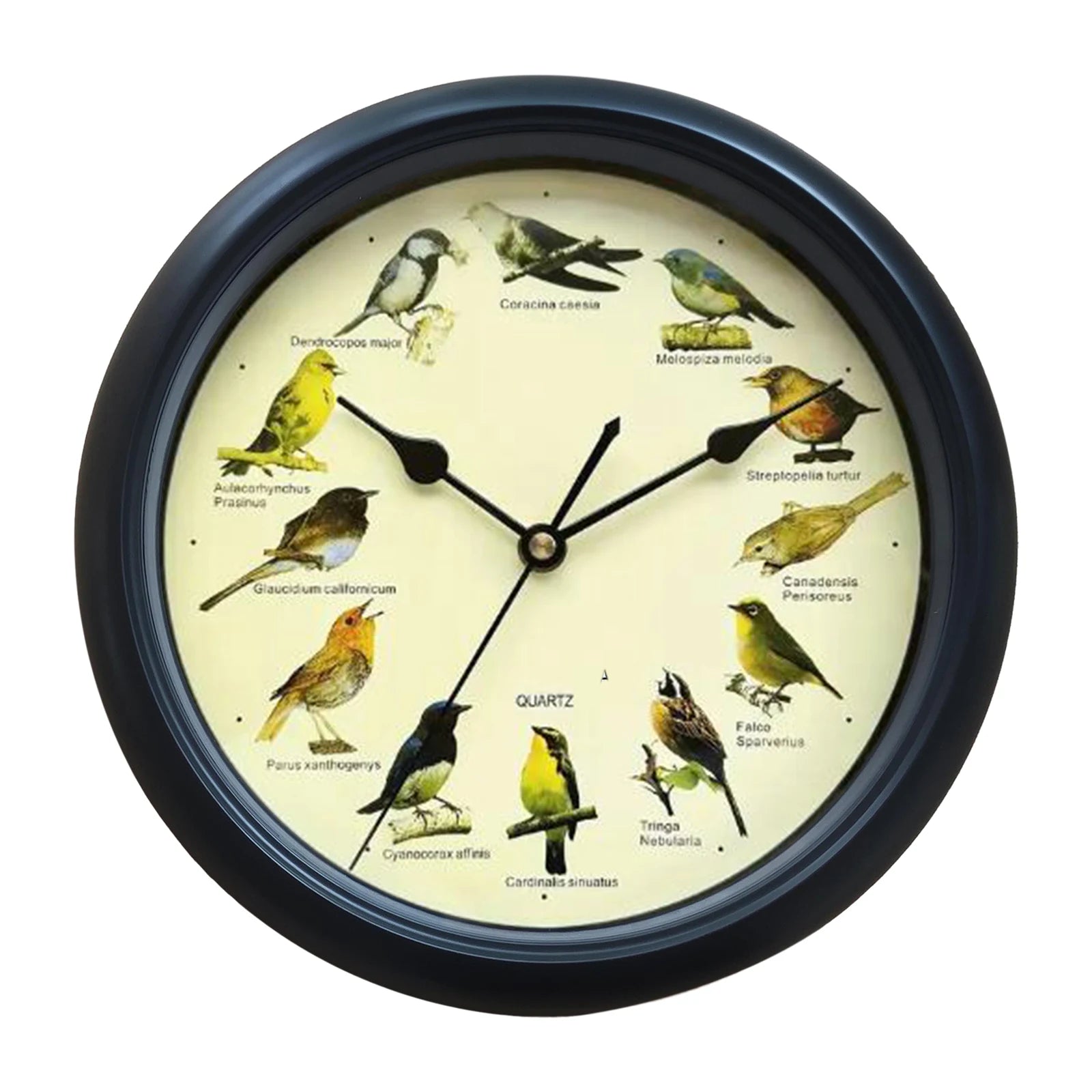 VogelZang - 10 Inch Singing Bird Wall Clock for Stylish Home Decoration