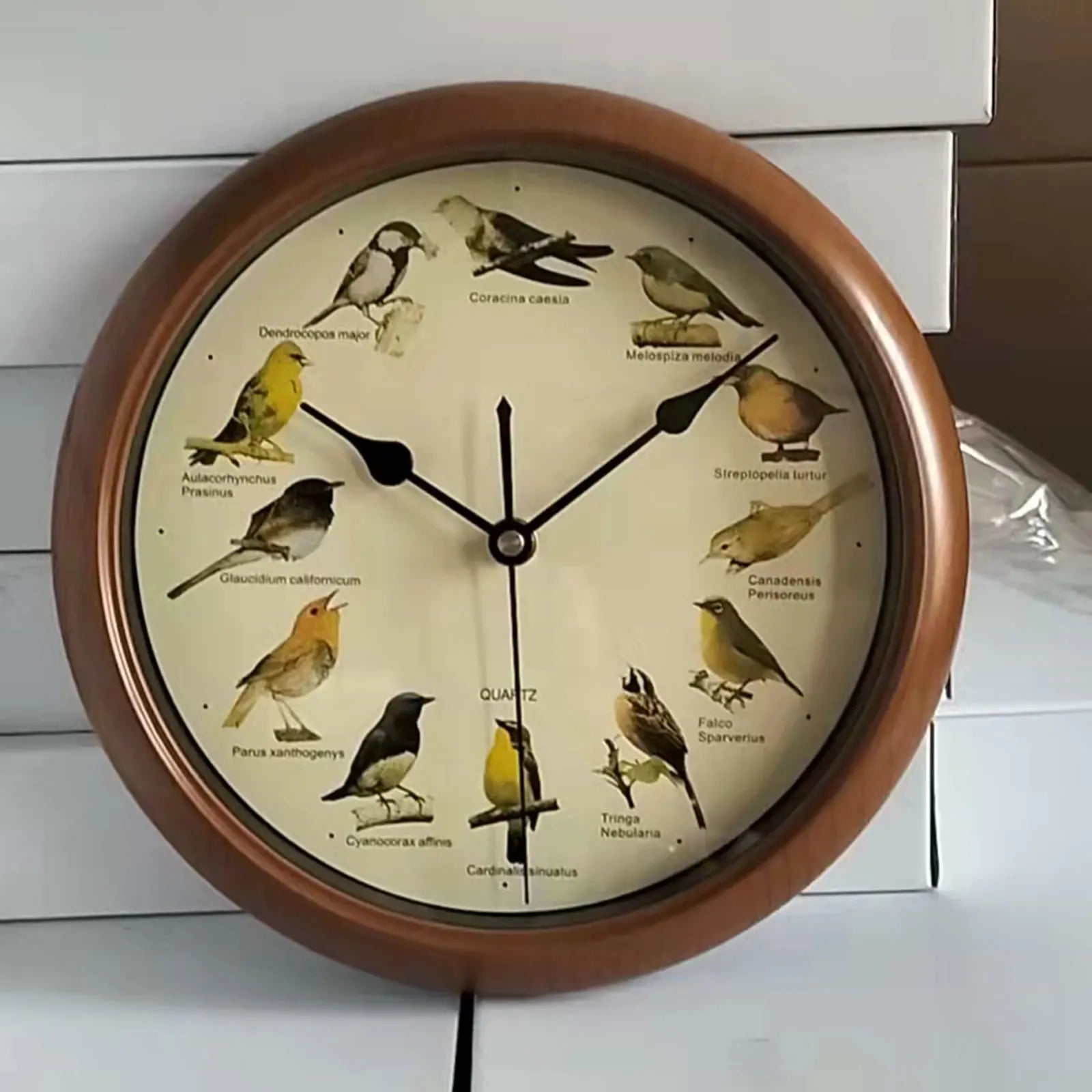 VogelZang - 10 Inch Singing Bird Wall Clock for Stylish Home Decoration