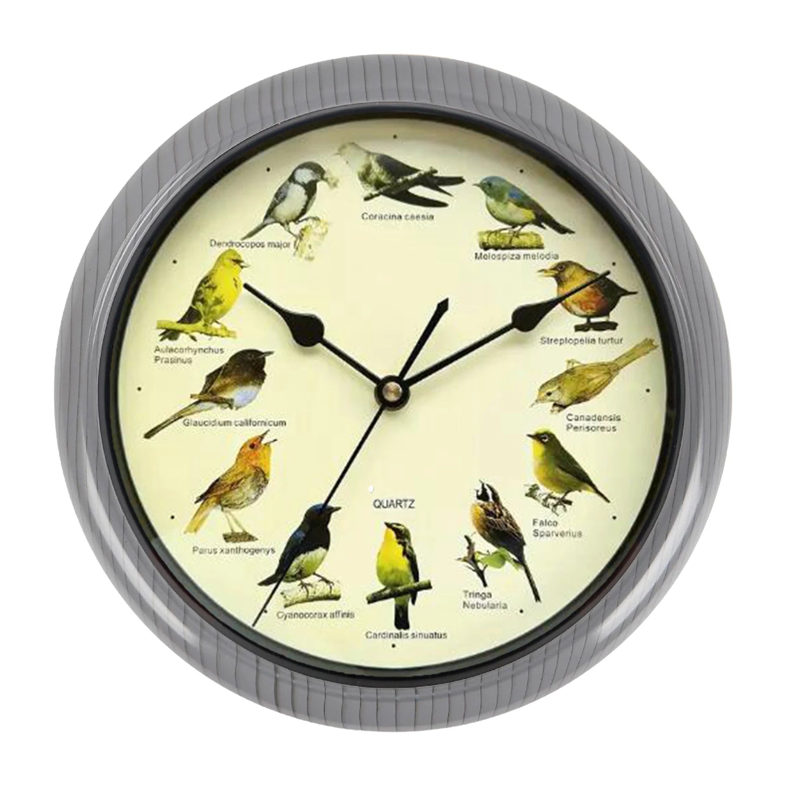VogelZang - 10 Inch Singing Bird Wall Clock for Stylish Home Decoration