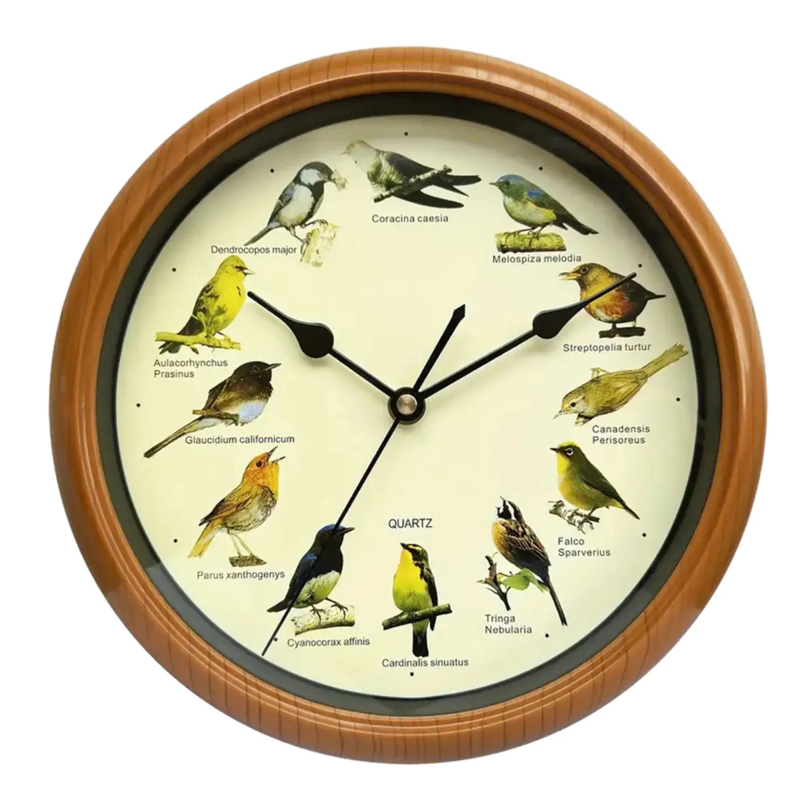 VogelZang - 10 Inch Singing Bird Wall Clock for Stylish Home Decoration