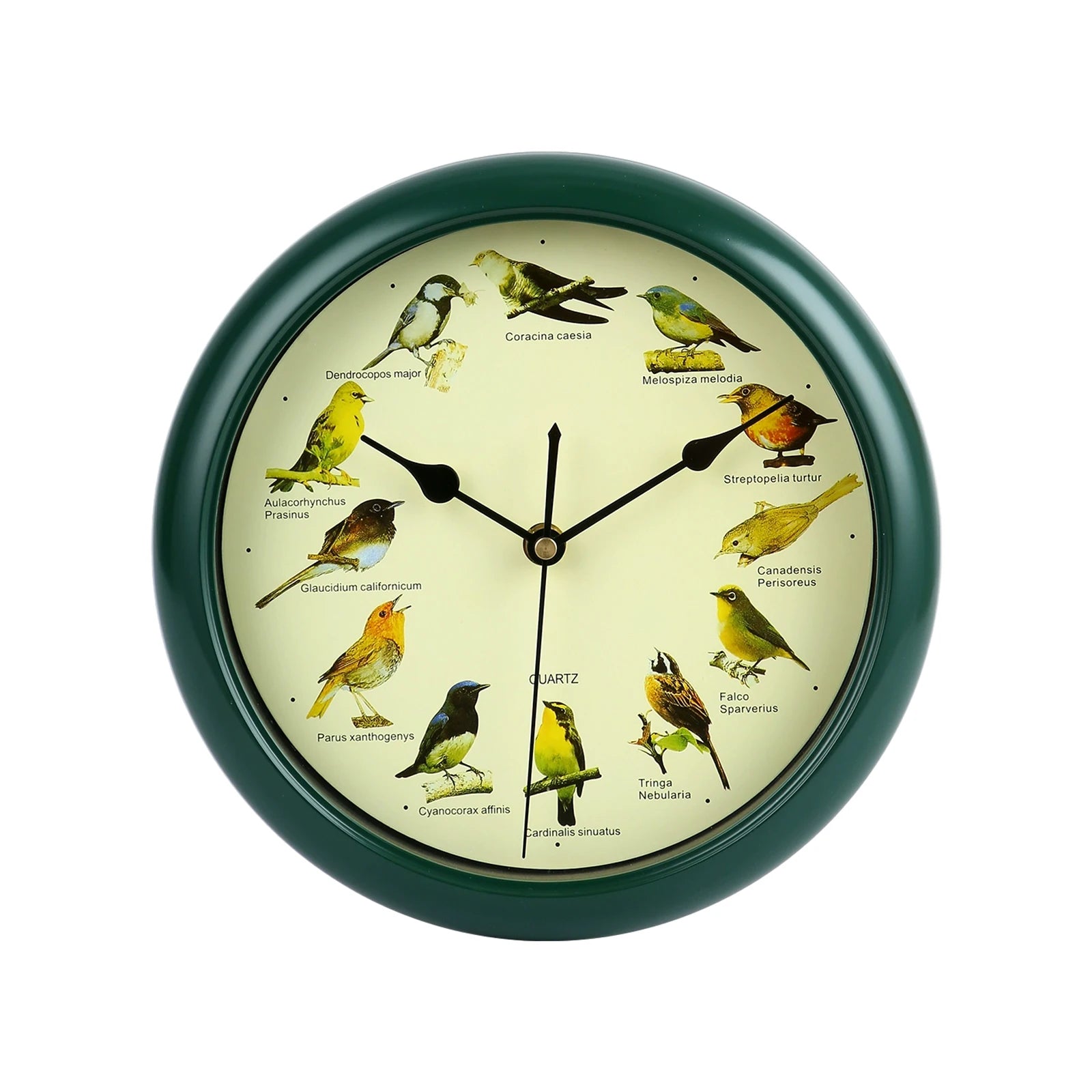 VogelZang - 10 Inch Singing Bird Wall Clock for Stylish Home Decoration