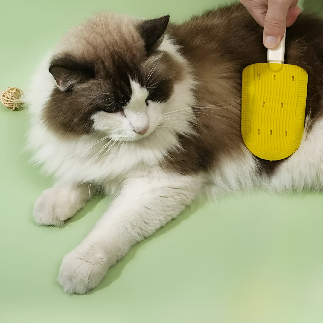 Spazzola Gatti Deshedding Pettine Pelo Animali