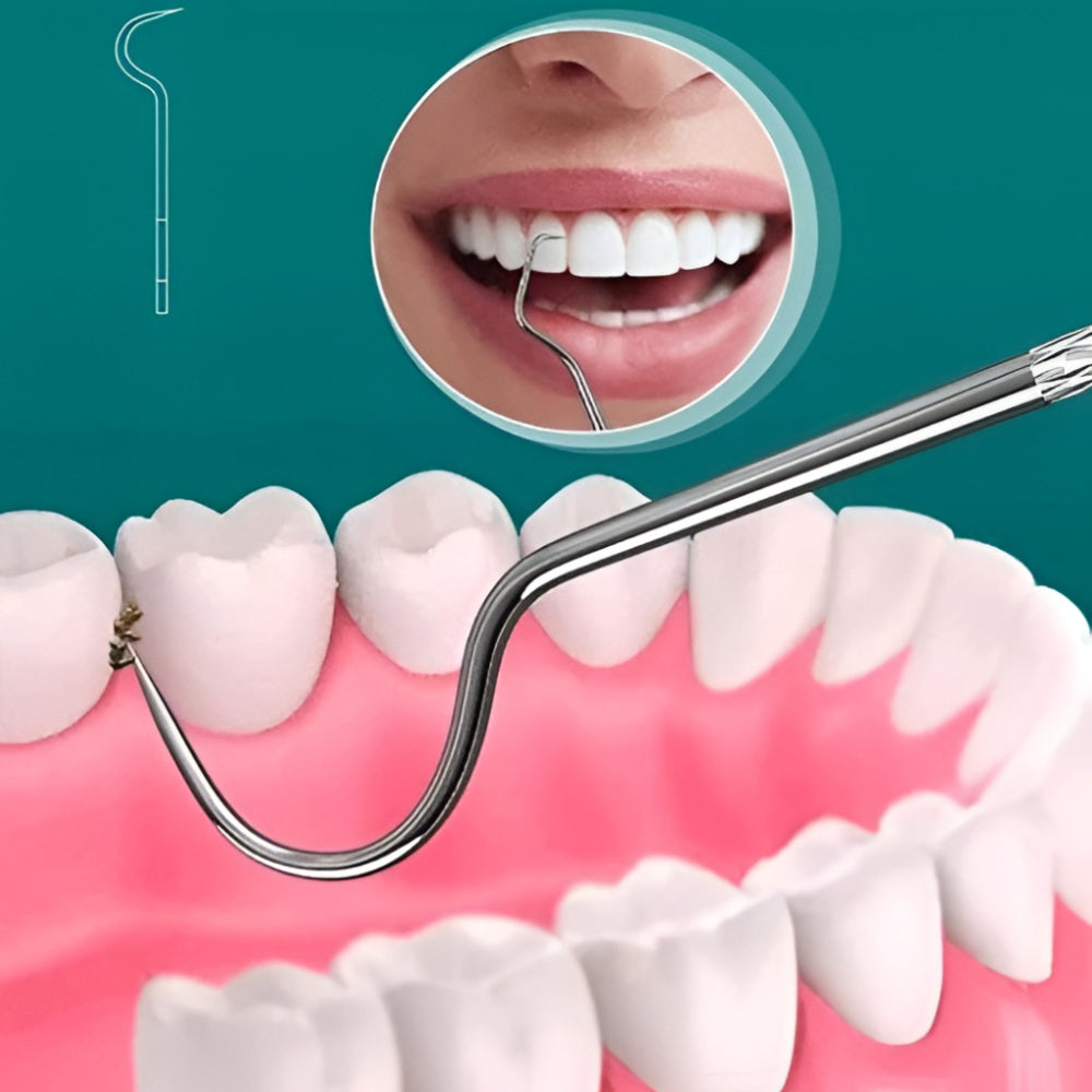 Stuzzicadenti Riutilizzabile Pulizia Denti Igiene Orale Portatile