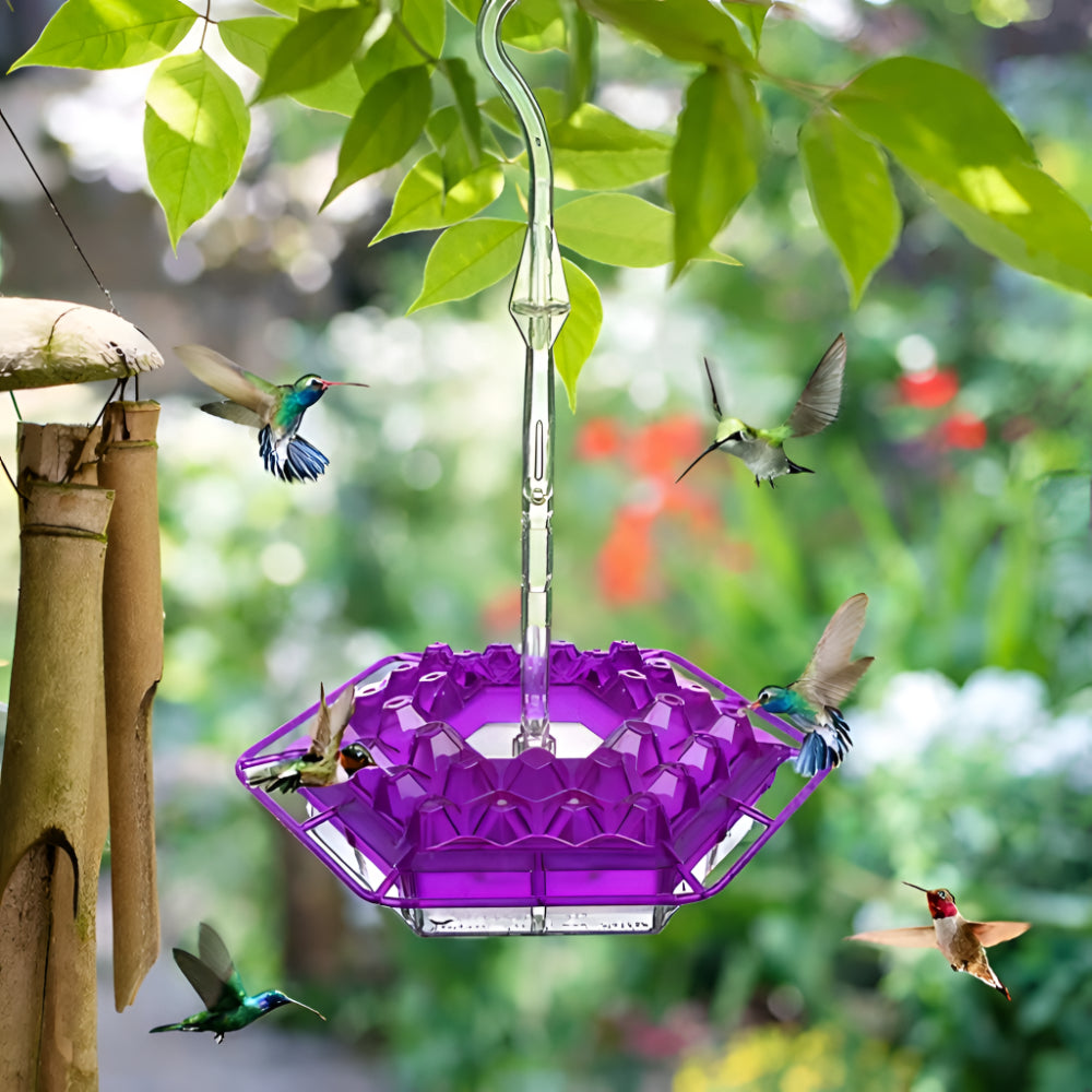Mangiatoia Uccelli Giardino Appesa Nettare Colibrì Decorativa