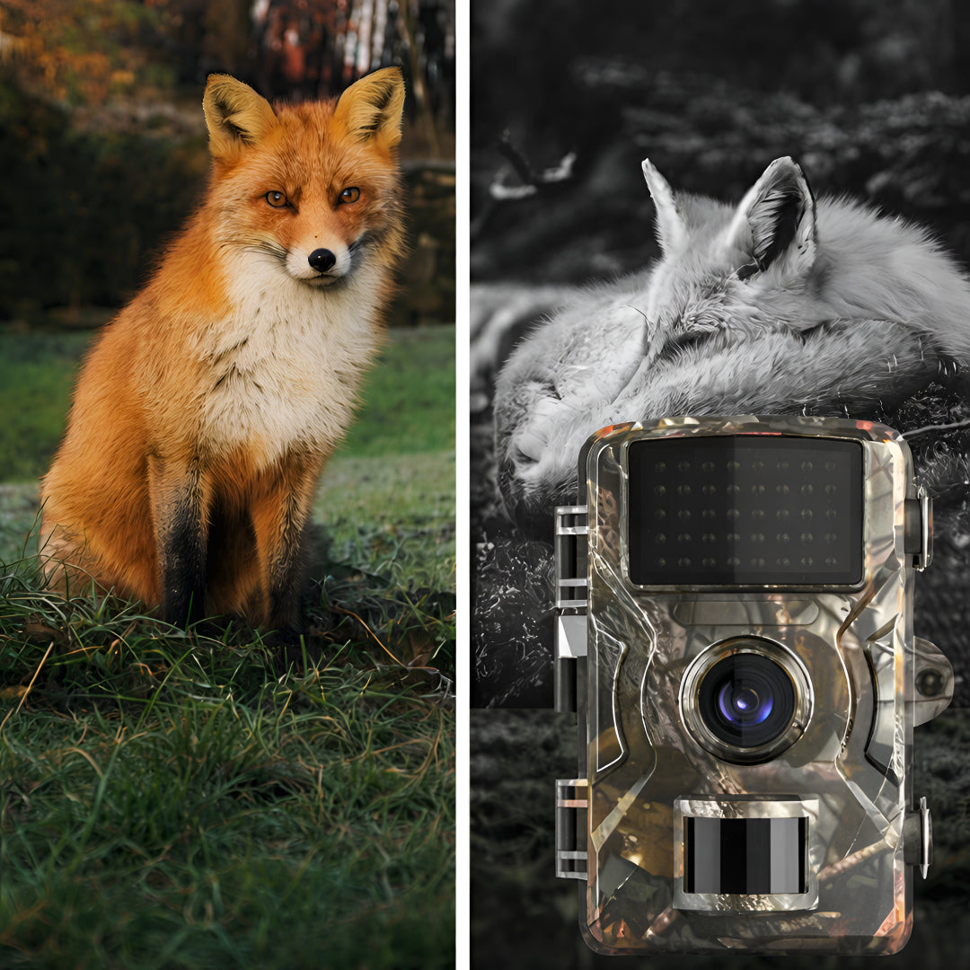 Wandelen Wildcamera Nachtzicht Bewegingssensor Outdoor Camera HD