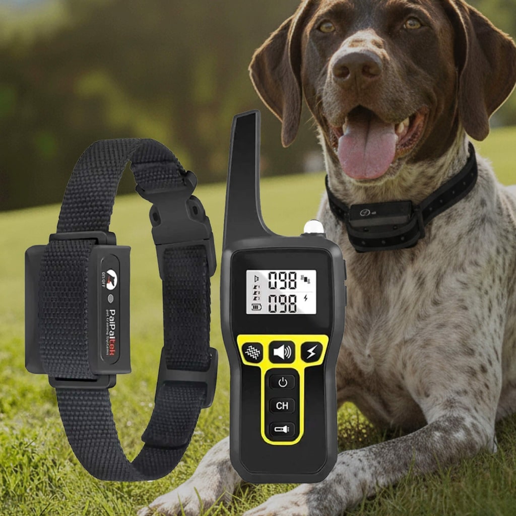 Collare Addestramento Cane Telecomando Sistema Controllo - Image 1