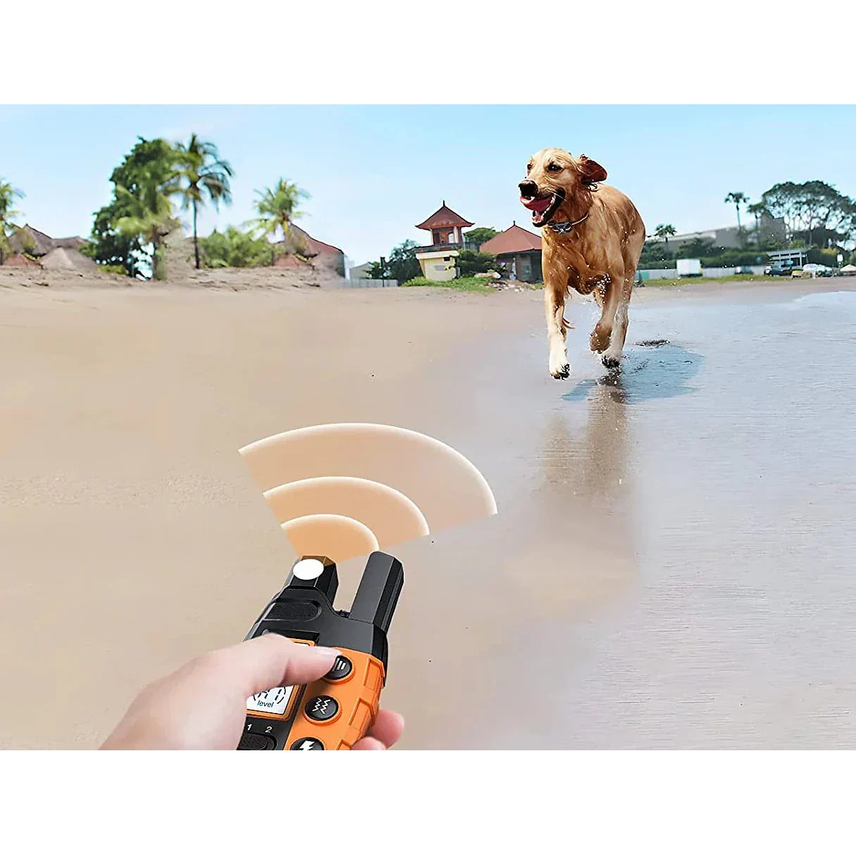 Collare Per Addestramento Cani Collare E-collar Men's E-Collar Addestramento - Image 9