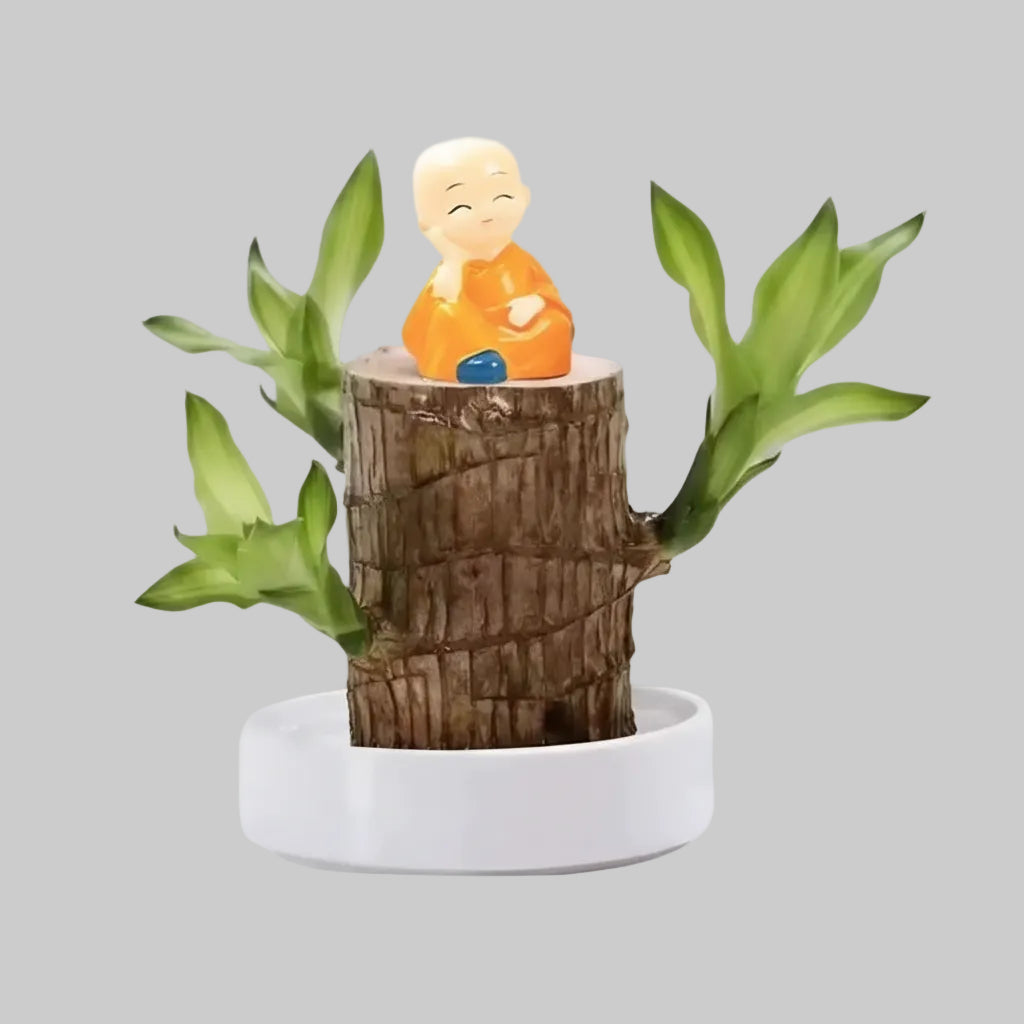 Wooden Plant Air Purifying Reduces Stress Low Maintenance