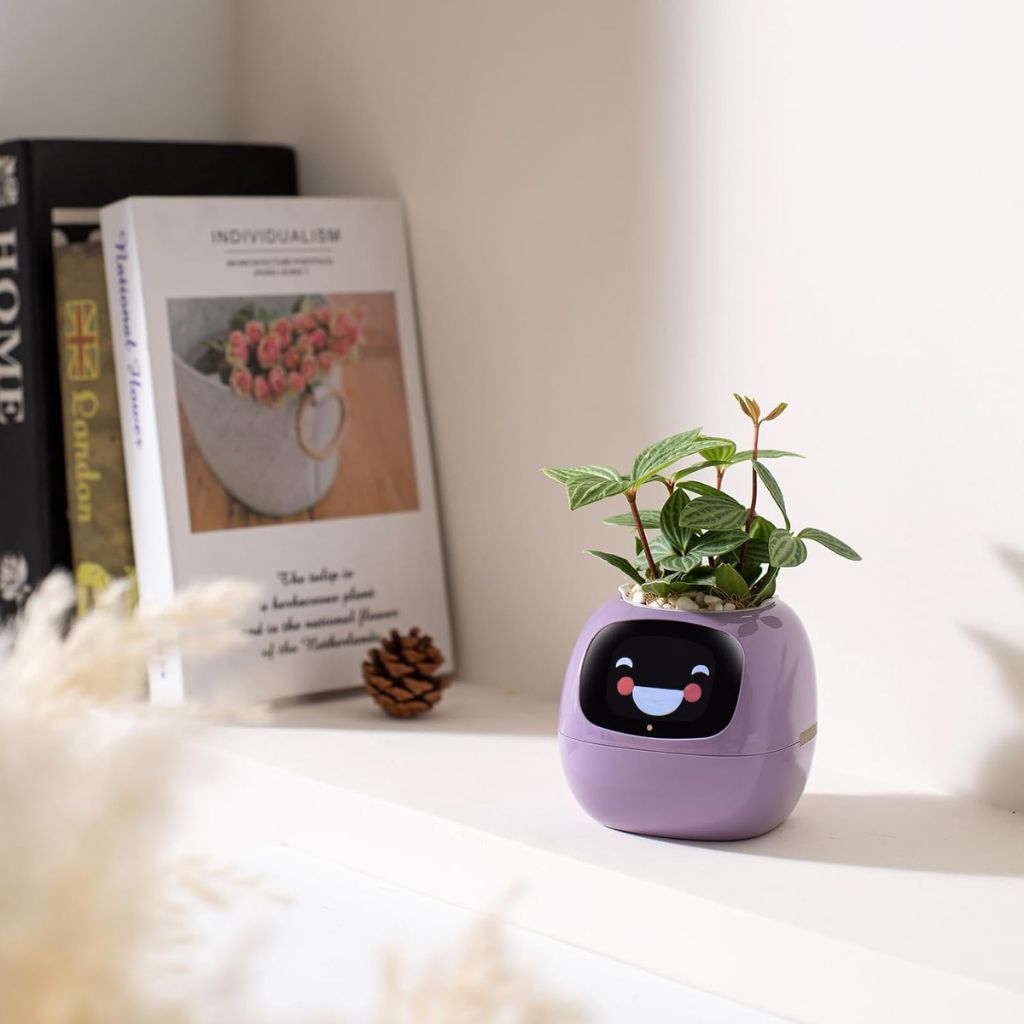 Vaso Delgado para Plantas Hera - Cuidado Inovador de Plantas