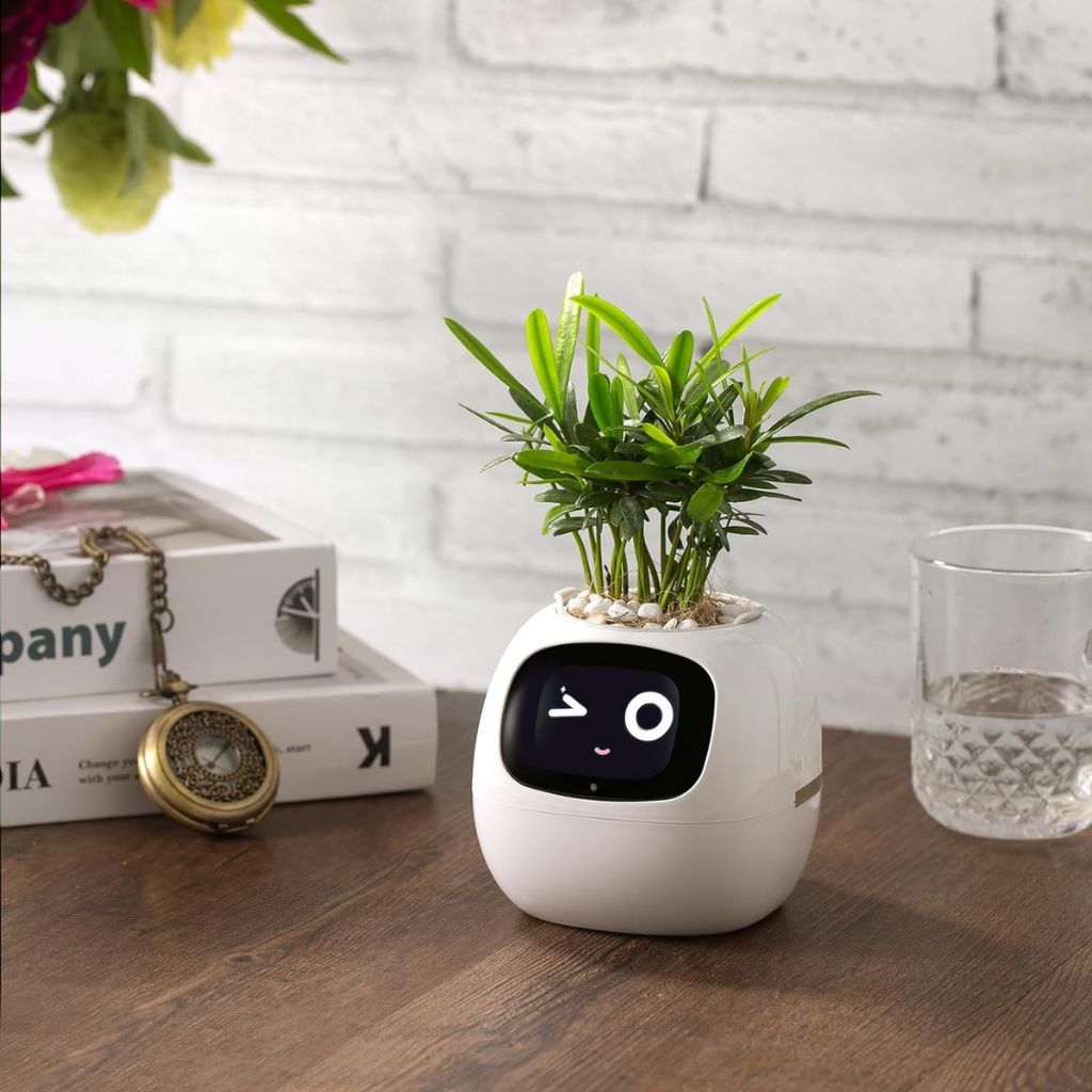Vaso Delgado para Plantas Hera - Cuidado Inovador de Plantas