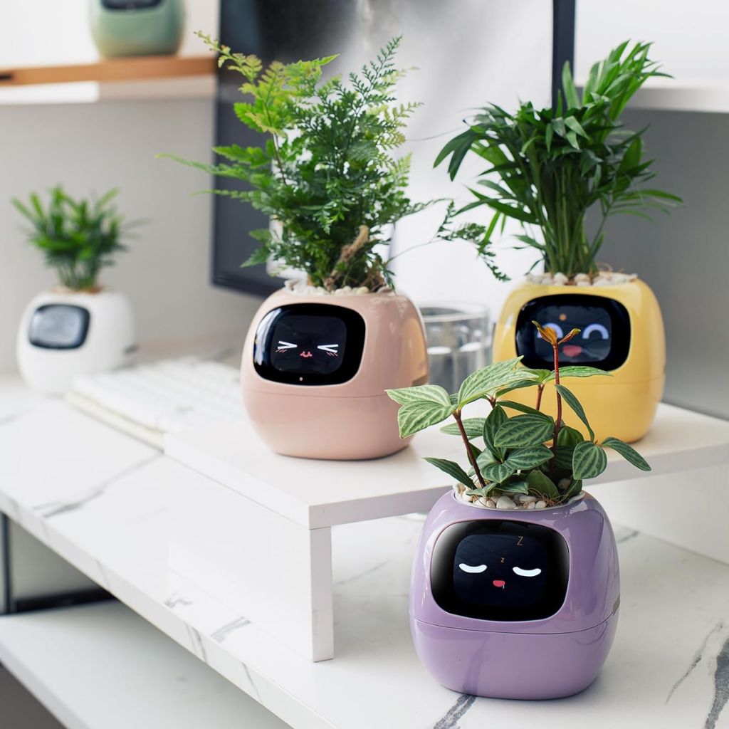 Vaso Delgado para Plantas Hera - Cuidado Inovador de Plantas