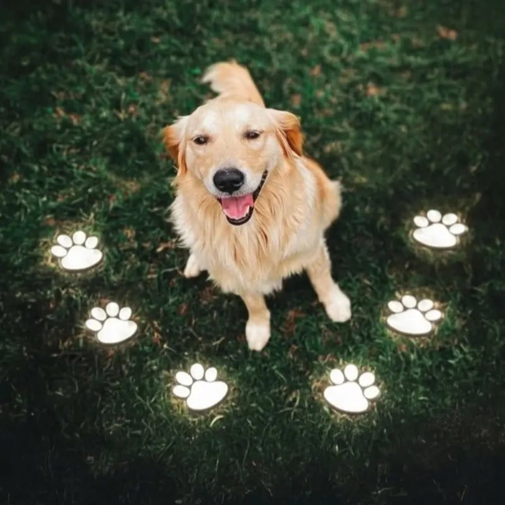 Luci Giardino Esterno Impronta Zampa Solari - Image 3