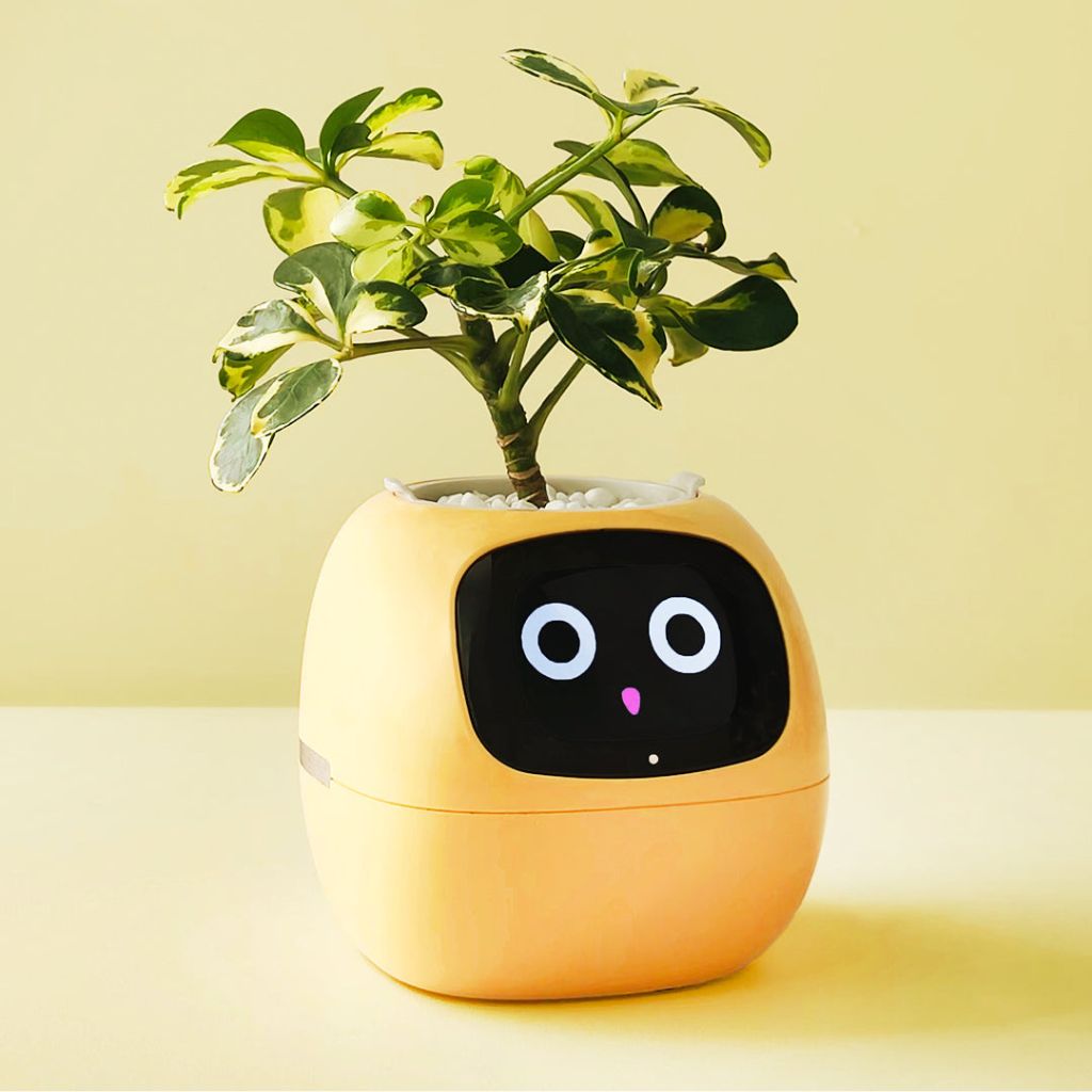 Vaso Delgado para Plantas Hera - Cuidado Inovador de Plantas