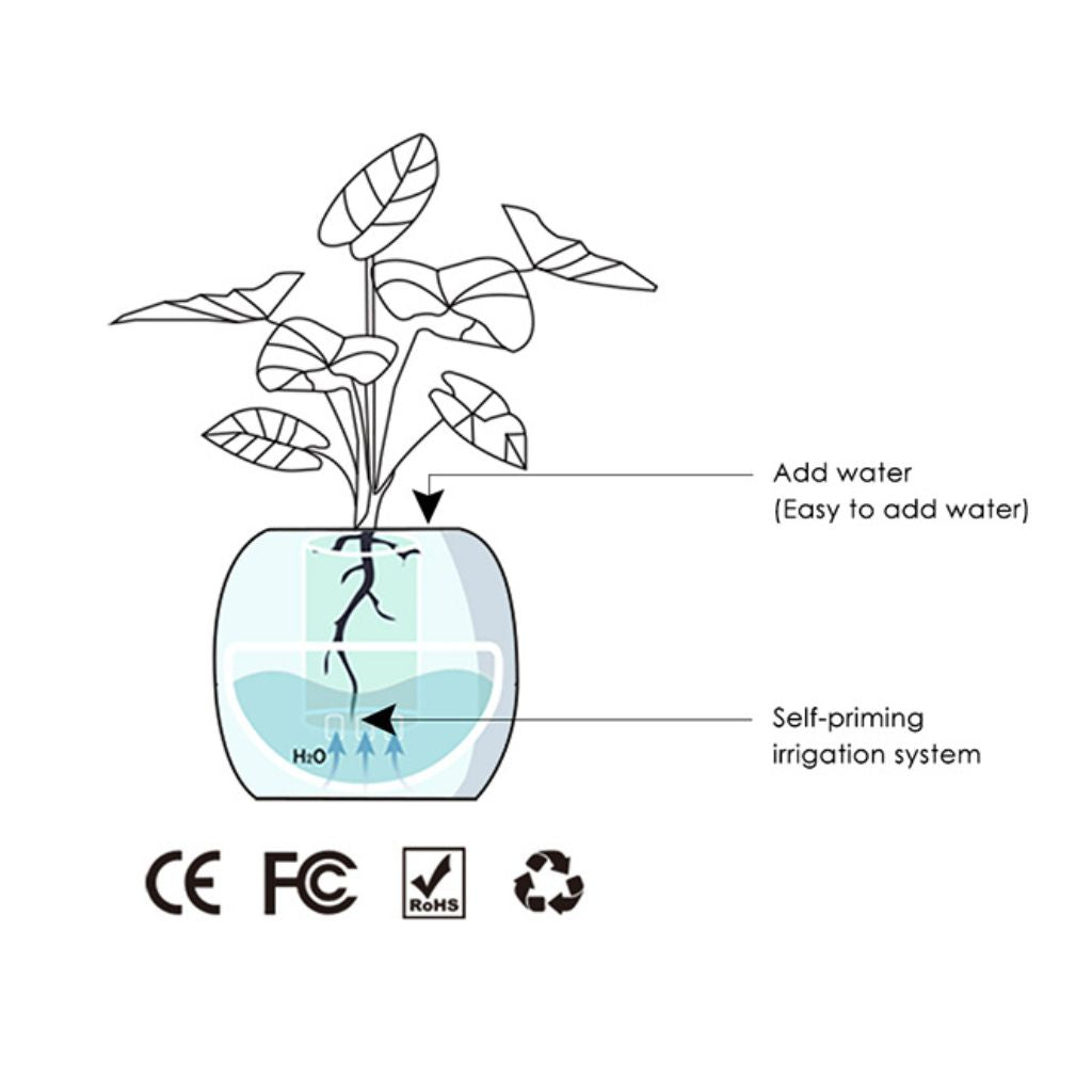 Vaso Delgado para Plantas Hera - Cuidado Inovador de Plantas