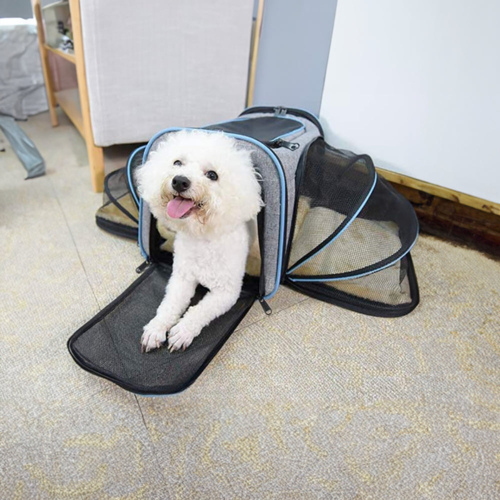 Trasportino Per Animali Borsa Per Animali Porta-Cane Portatile