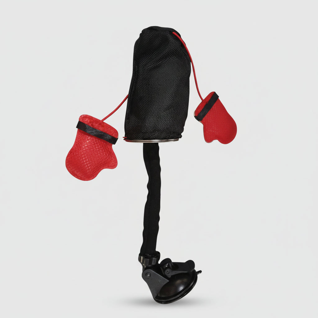 Interattività Sacco Boxe Gioco Gatti Stimola Gioco Movimento