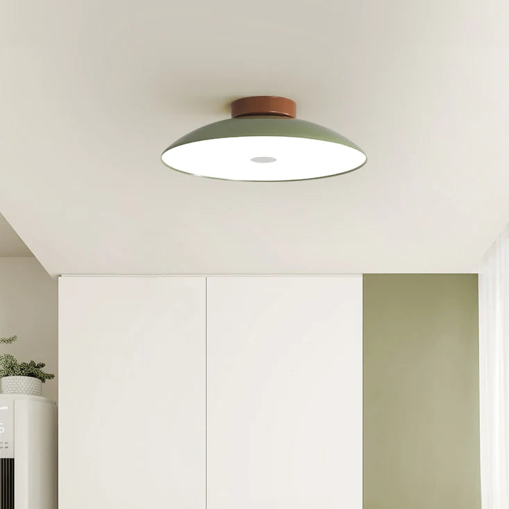 Lampada da soffitto classica in ferro per il corridoio