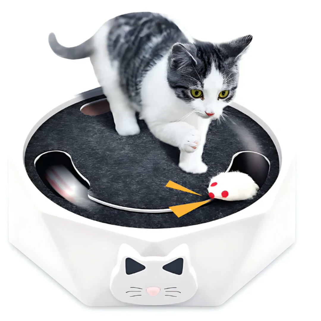 Interactive Cat Toy Mouse Game Furniture