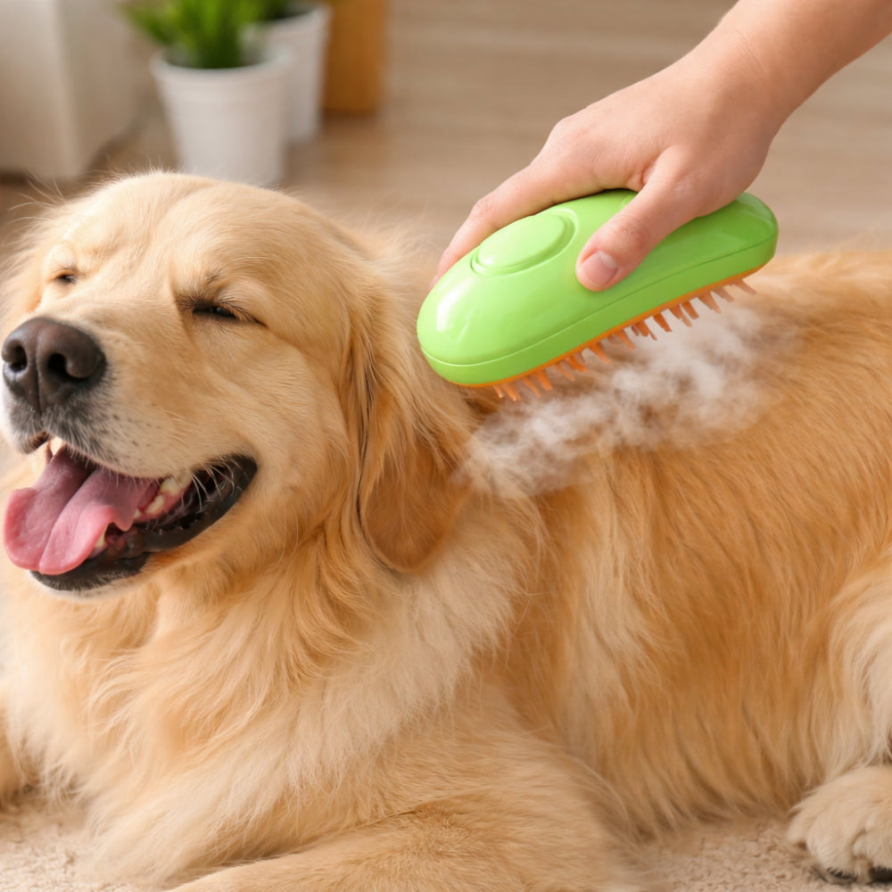 Toelettatura Cane Spazzola Vapore Massaggio Pulizia Pelo