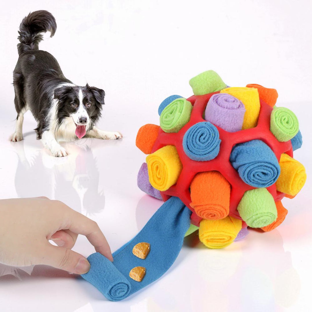 Gioco Per Cani Interattivo Palla Olfattiva Premi