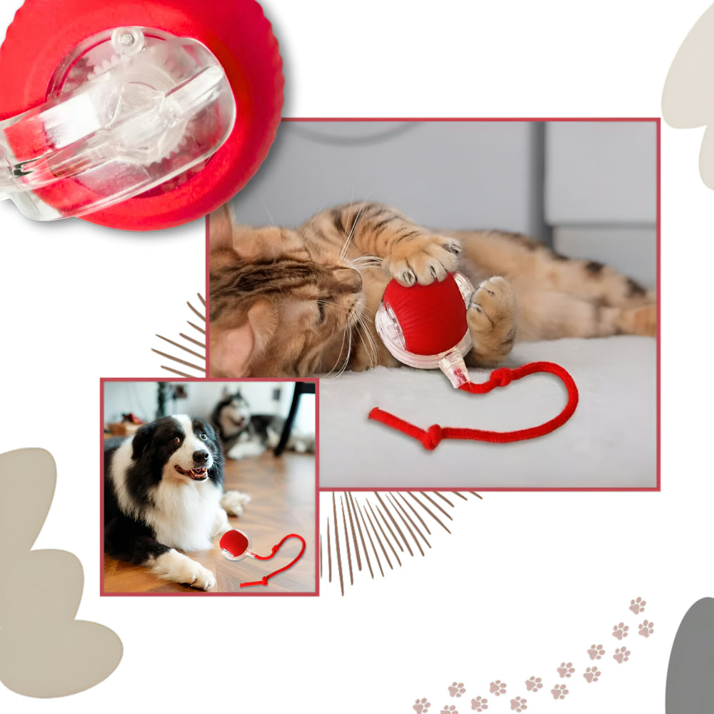 Interactive Cat Toy Automatic Moving Cat Ball