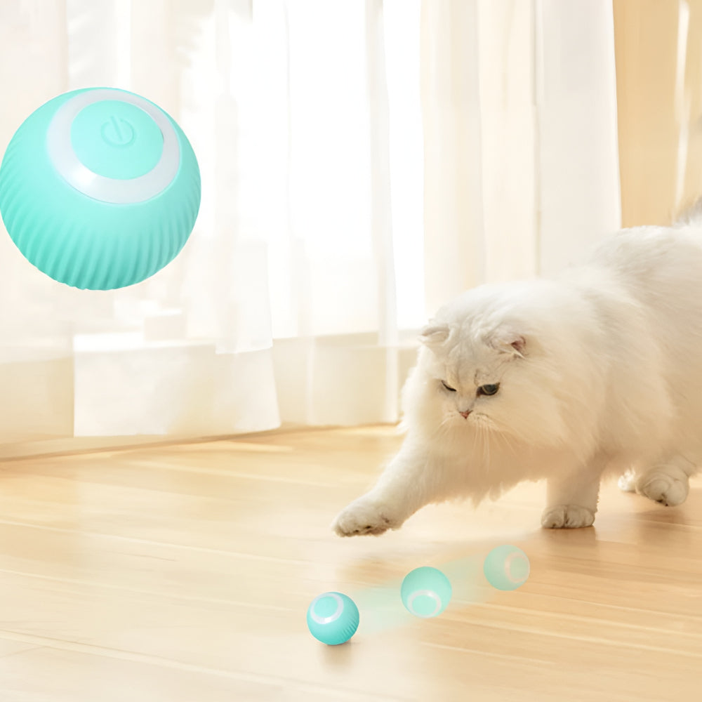 Gioco Gatto Palla Interattiva Movimento Automatico Luce LED